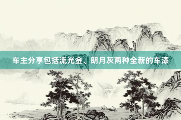 车主分享包括流光金、朗月灰两种全新的车漆