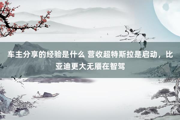 车主分享的经验是什么 营收超特斯拉是启动，比亚迪更大无餍在智驾