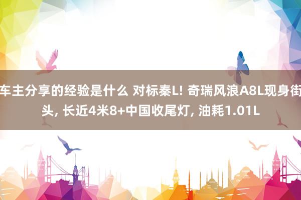 车主分享的经验是什么 对标秦L! 奇瑞风浪A8L现身街头, 长近4米8+中国收尾灯, 油耗1.01L