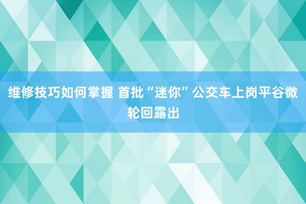 维修技巧如何掌握 首批“迷你”公交车上岗平谷微轮回露出