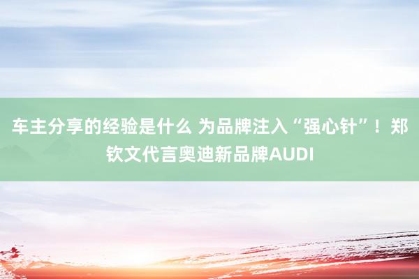 车主分享的经验是什么 为品牌注入“强心针”！郑钦文代言奥迪新品牌AUDI