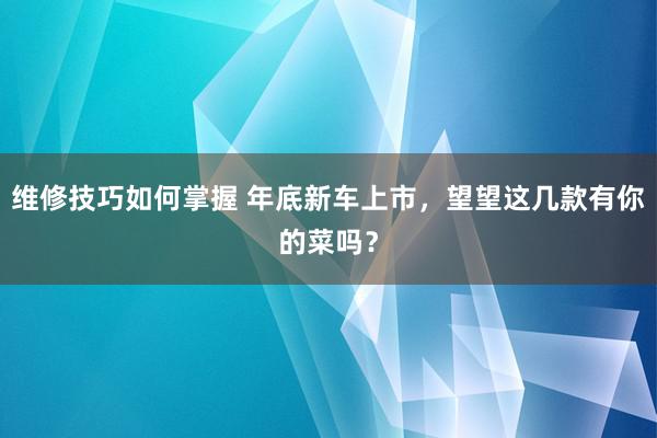 维修技巧如何掌握 年底新车上市，望望这几款有你的菜吗？