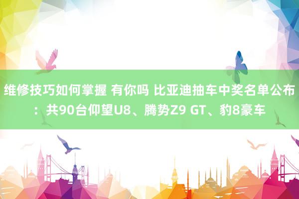 维修技巧如何掌握 有你吗 比亚迪抽车中奖名单公布：共90台仰望U8、腾势Z9 GT、豹8豪车