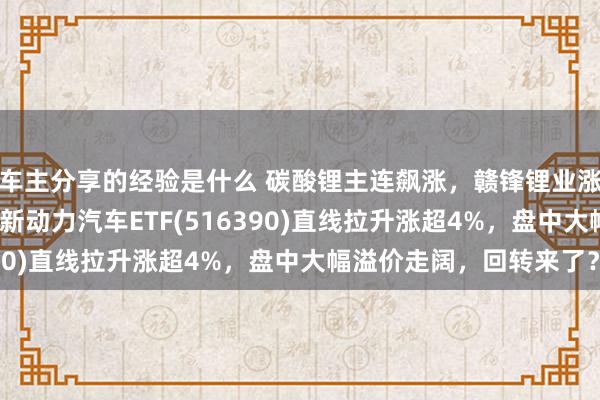 车主分享的经验是什么 碳酸锂主连飙涨，赣锋锂业涨停、宁德期间涨3%，新动力汽车ETF(516390)直线拉升涨超4%，盘中大幅溢价走阔，回转来了？