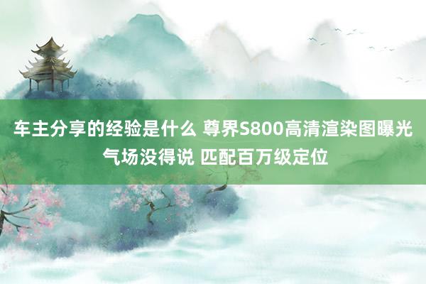 车主分享的经验是什么 尊界S800高清渲染图曝光 气场没得说 匹配百万级定位