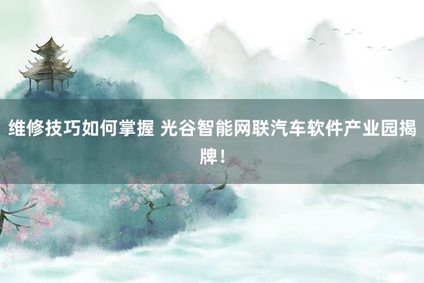 维修技巧如何掌握 光谷智能网联汽车软件产业园揭牌！