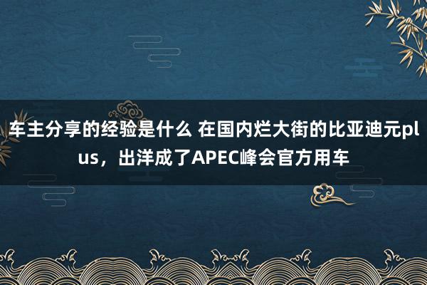 车主分享的经验是什么 在国内烂大街的比亚迪元plus，出洋成了APEC峰会官方用车