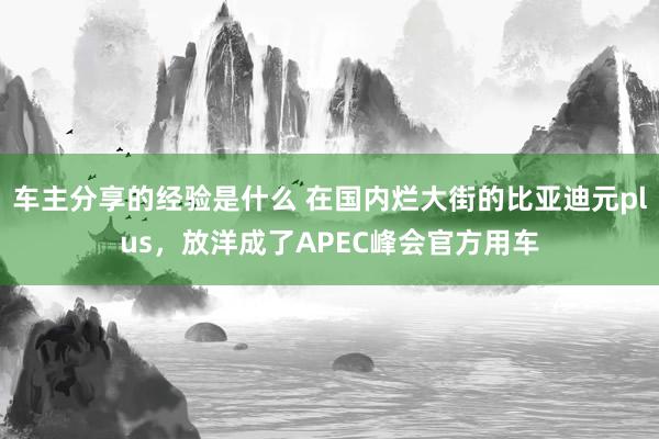 车主分享的经验是什么 在国内烂大街的比亚迪元plus，放洋成了APEC峰会官方用车