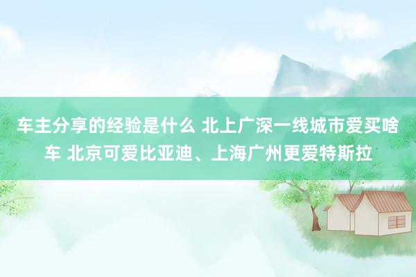 车主分享的经验是什么 北上广深一线城市爱买啥车 北京可爱比亚迪、上海广州更爱特斯拉