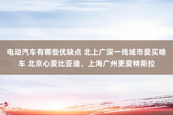 电动汽车有哪些优缺点 北上广深一线城市爱买啥车 北京心爱比亚迪、上海广州更爱特斯拉