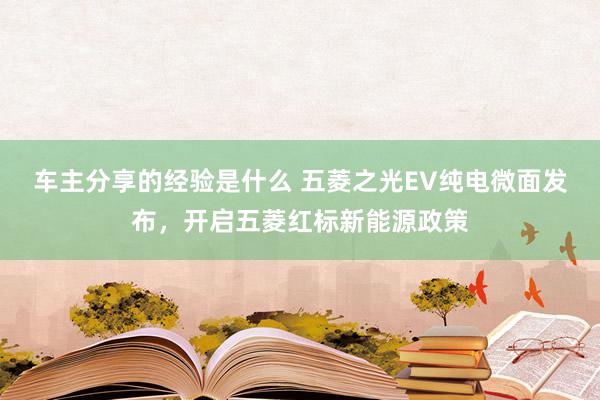 车主分享的经验是什么 五菱之光EV纯电微面发布，开启五菱红标新能源政策