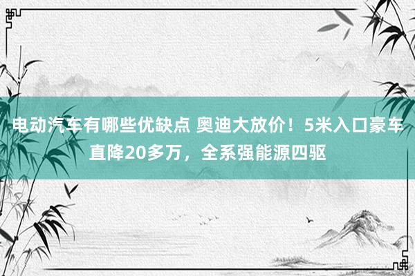 电动汽车有哪些优缺点 奥迪大放价！5米入口豪车直降20多万，全系强能源四驱