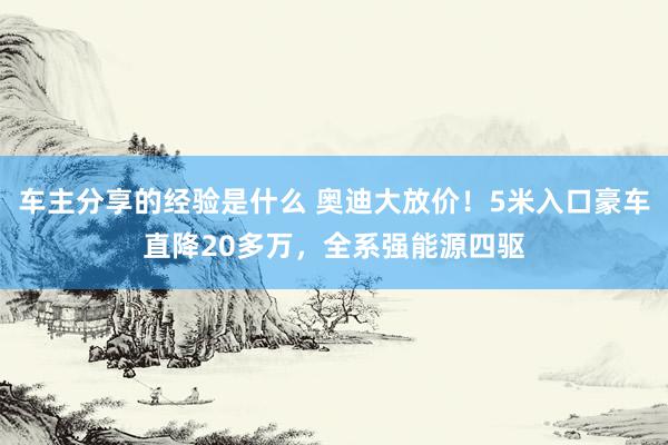 车主分享的经验是什么 奥迪大放价！5米入口豪车直降20多万，全系强能源四驱