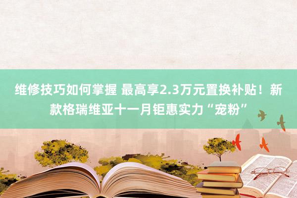 维修技巧如何掌握 最高享2.3万元置换补贴！新款格瑞维亚十一月钜惠实力“宠粉”