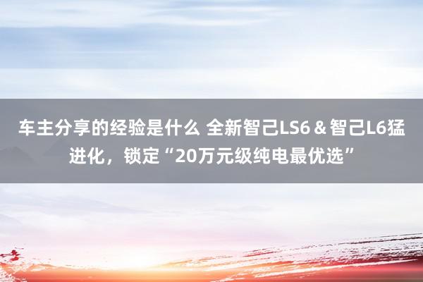 车主分享的经验是什么 全新智己LS6＆智己L6猛进化，锁定“20万元级纯电最优选”