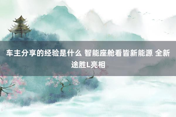 车主分享的经验是什么 智能座舱看皆新能源 全新途胜L亮相