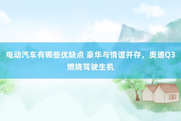 电动汽车有哪些优缺点 豪华与情谊并存，奥迪Q3燃烧驾驶生机