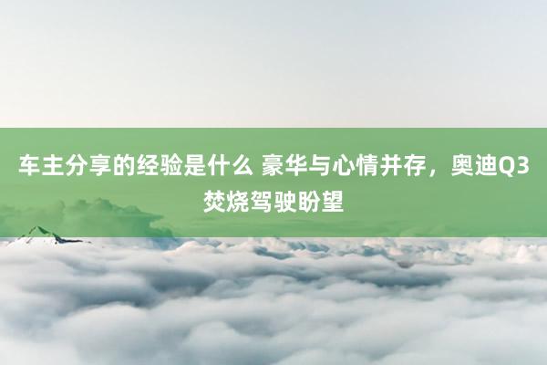 车主分享的经验是什么 豪华与心情并存，奥迪Q3焚烧驾驶盼望