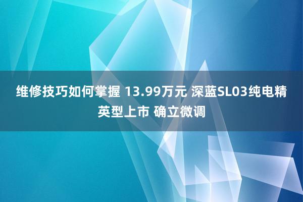 维修技巧如何掌握 13.99万元 深蓝SL03纯电精英型上市 确立微调