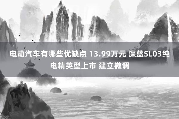 电动汽车有哪些优缺点 13.99万元 深蓝SL03纯电精英型上市 建立微调