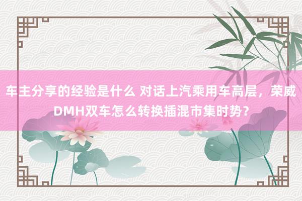 车主分享的经验是什么 对话上汽乘用车高层，荣威DMH双车怎么转换插混市集时势？