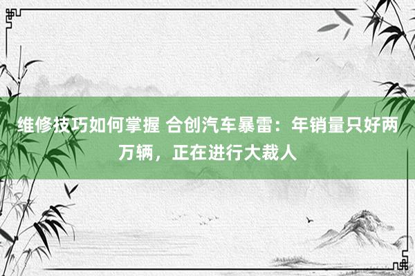 维修技巧如何掌握 合创汽车暴雷：年销量只好两万辆，正在进行大裁人