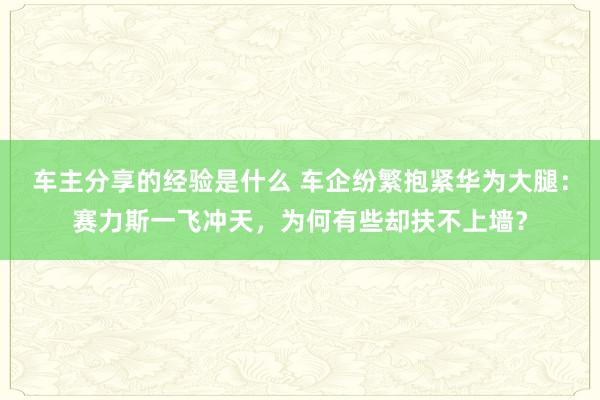 车主分享的经验是什么 车企纷繁抱紧华为大腿：赛力斯一飞冲天，为何有些却扶不上墙？