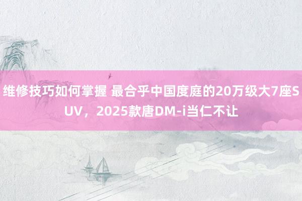 维修技巧如何掌握 最合乎中国度庭的20万级大7座SUV，2025款唐DM-i当仁不让