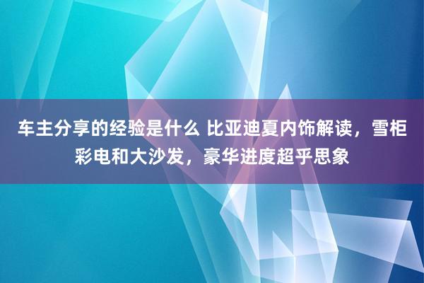 车主分享的经验是什么 比亚迪夏内饰解读，雪柜彩电和大沙发，豪华进度超乎思象