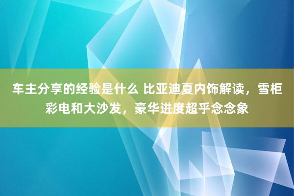 车主分享的经验是什么 比亚迪夏内饰解读，雪柜彩电和大沙发，豪华进度超乎念念象