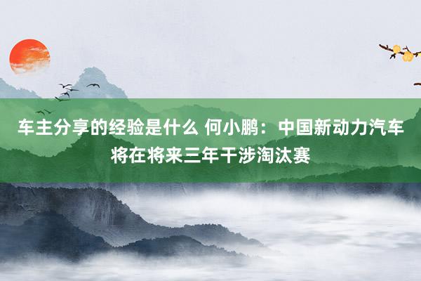 车主分享的经验是什么 何小鹏：中国新动力汽车将在将来三年干涉淘汰赛