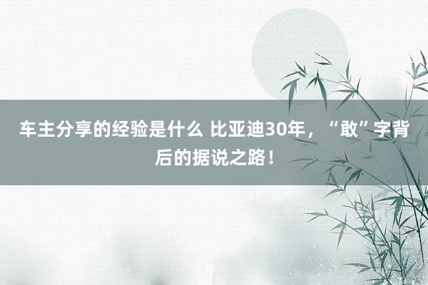 车主分享的经验是什么 比亚迪30年，“敢”字背后的据说之路！