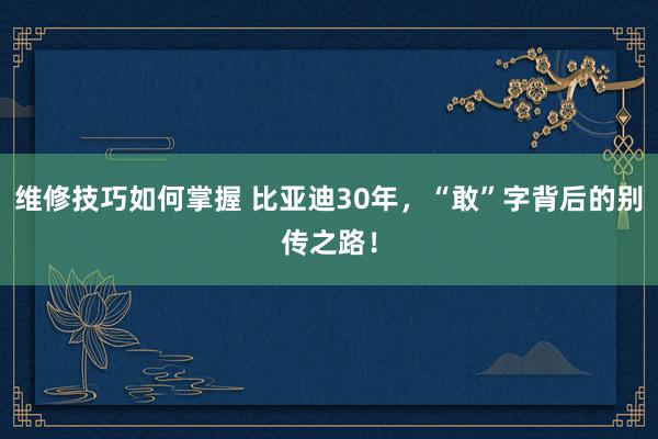 维修技巧如何掌握 比亚迪30年，“敢”字背后的别传之路！