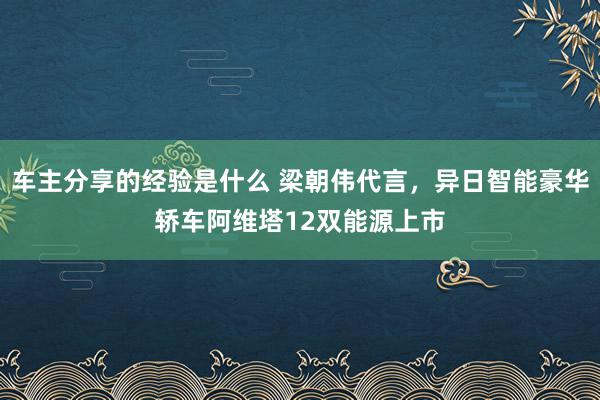 车主分享的经验是什么 梁朝伟代言，异日智能豪华轿车阿维塔12双能源上市