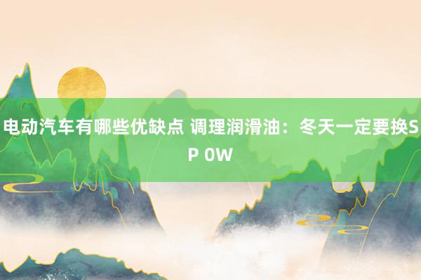 电动汽车有哪些优缺点 调理润滑油：冬天一定要换SP 0W