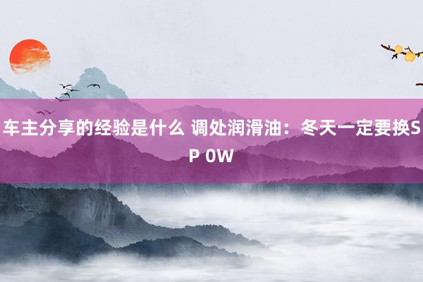 车主分享的经验是什么 调处润滑油：冬天一定要换SP 0W