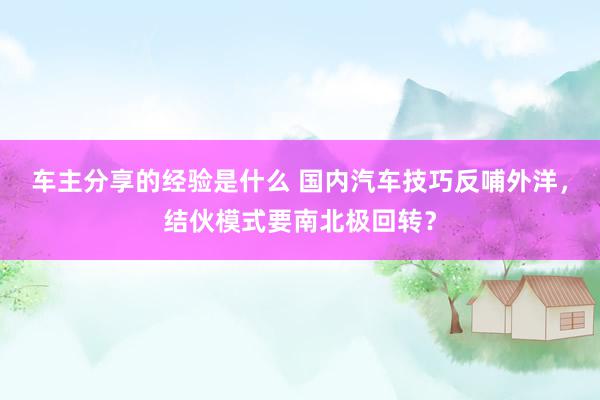 车主分享的经验是什么 国内汽车技巧反哺外洋，结伙模式要南北极回转？