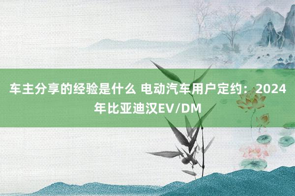 车主分享的经验是什么 电动汽车用户定约：2024年比亚迪汉EV/DM