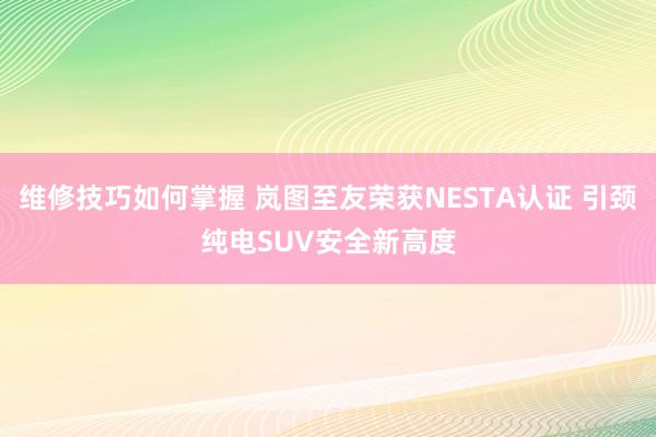 维修技巧如何掌握 岚图至友荣获NESTA认证 引颈纯电SUV安全新高度