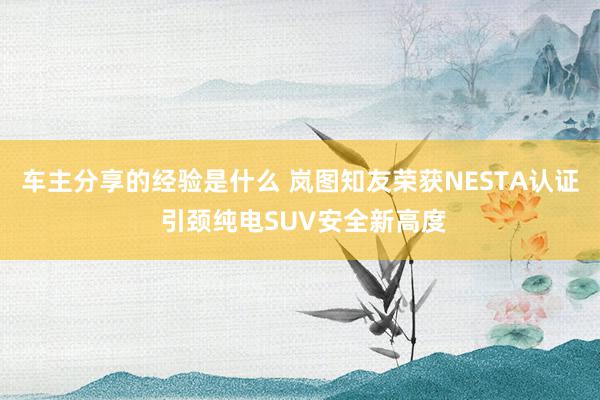 车主分享的经验是什么 岚图知友荣获NESTA认证 引颈纯电SUV安全新高度