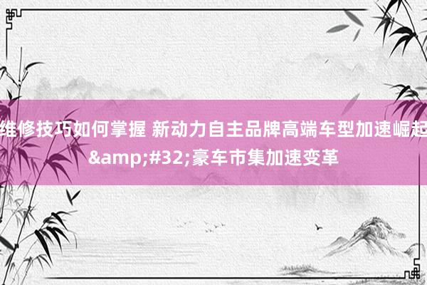 维修技巧如何掌握 新动力自主品牌高端车型加速崛起&#32;豪车市集加速变革