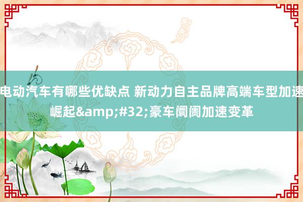 电动汽车有哪些优缺点 新动力自主品牌高端车型加速崛起&#32;豪车阛阓加速变革