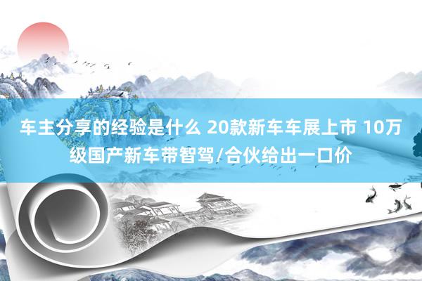 车主分享的经验是什么 20款新车车展上市 10万级国产新车带智驾/合伙给出一口价