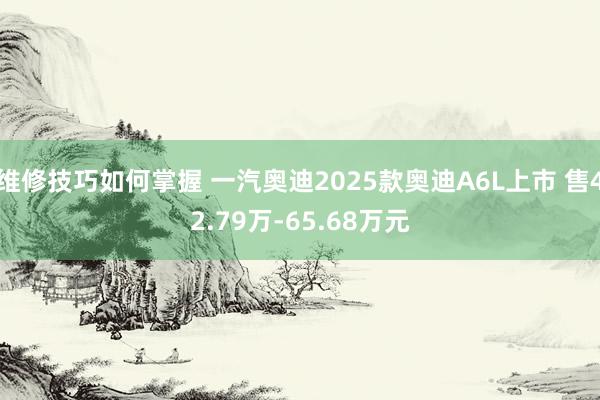 维修技巧如何掌握 一汽奥迪2025款奥迪A6L上市 售42.79万-65.68万元