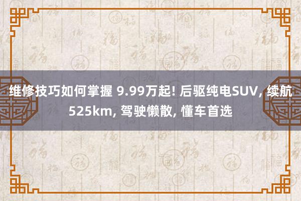 维修技巧如何掌握 9.99万起! 后驱纯电SUV, 续航525km, 驾驶懒散, 懂车首选