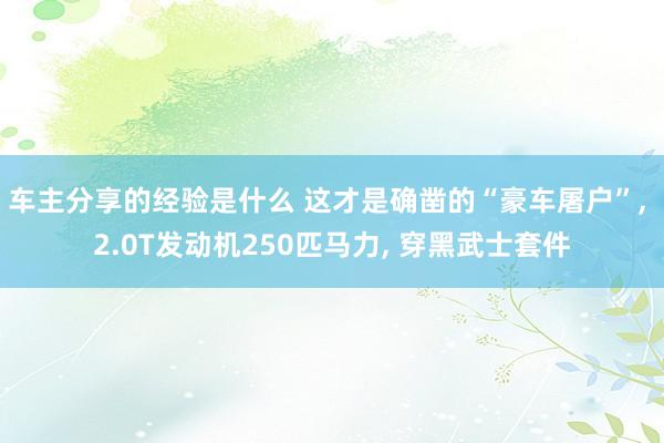 车主分享的经验是什么 这才是确凿的“豪车屠户”, 2.0T发动机250匹马力, 穿黑武士套件