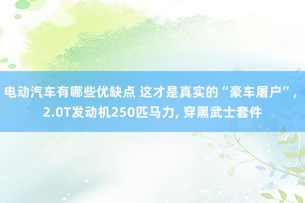 电动汽车有哪些优缺点 这才是真实的“豪车屠户”, 2.0T发动机250匹马力, 穿黑武士套件