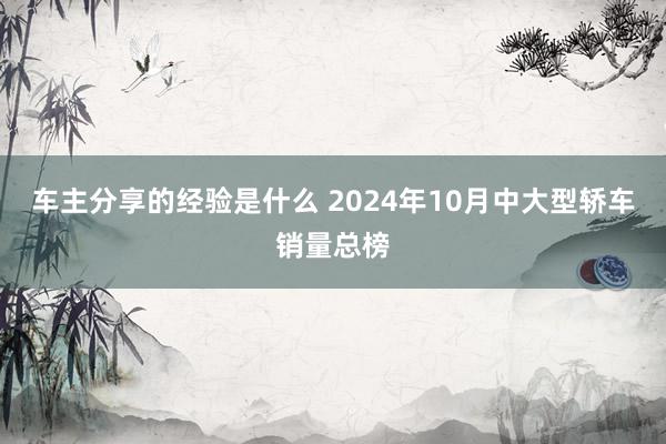 车主分享的经验是什么 2024年10月中大型轿车销量总榜