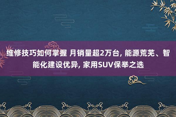 维修技巧如何掌握 月销量超2万台, 能源荒芜、智能化建设优异, 家用SUV保举之选