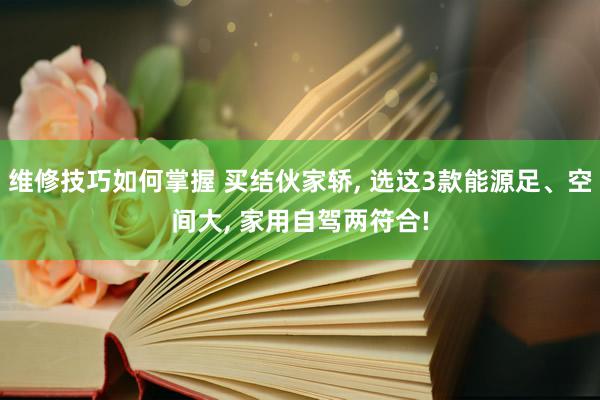 维修技巧如何掌握 买结伙家轿, 选这3款能源足、空间大, 家用自驾两符合!